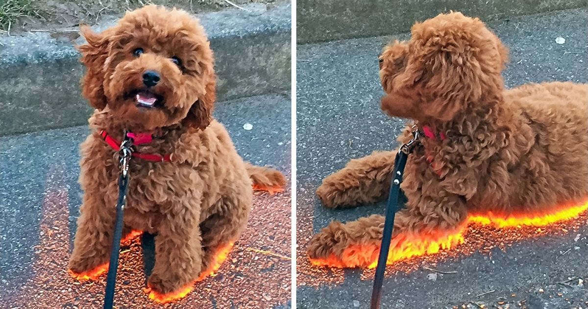 29 Fotos em que a realidade supera qualquer Photoshop