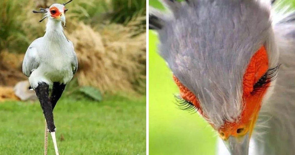 15+ Provas de que a natureza tem tesouros muito bem guardados que quase não ouvimos falar