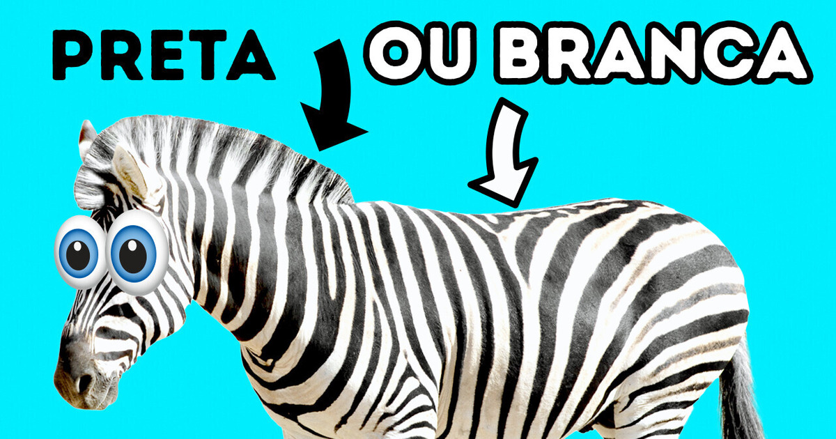 Zebras são na verdade pretas + 17 fatos estranhos sobre animais