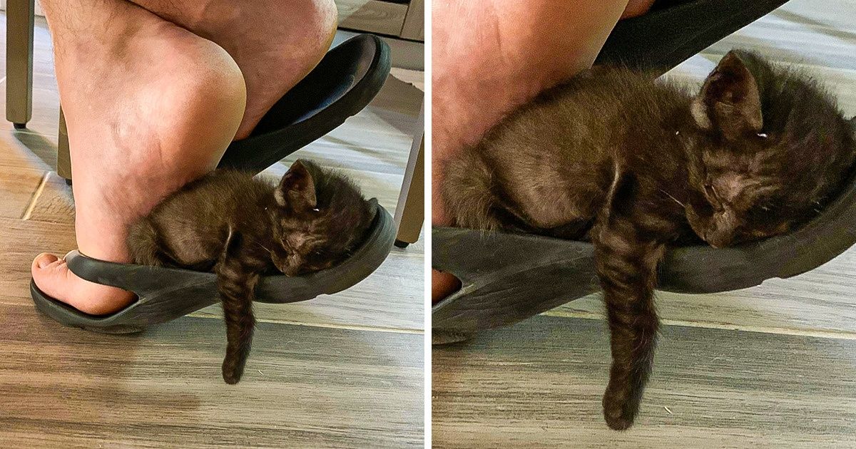 20 Fotos que podem ser tão aconchegantes quanto o abraço da sua avó