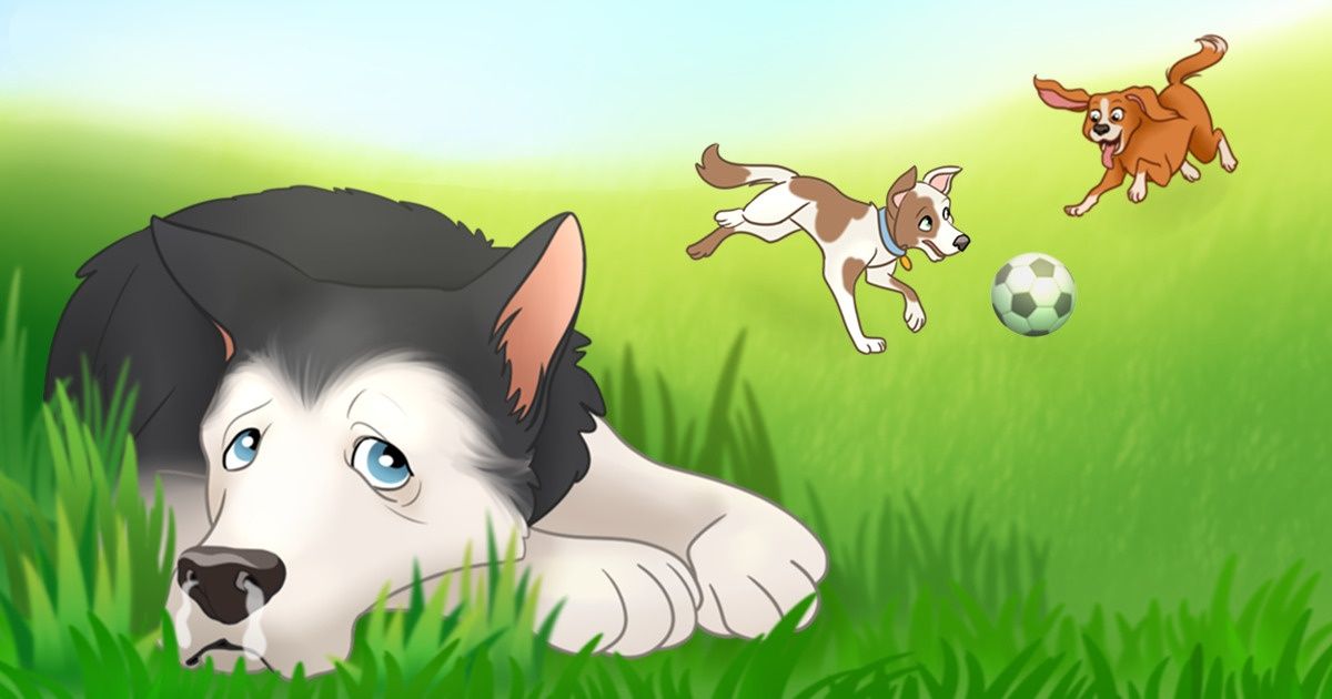 9 Doenças comuns entre os bichos de estimação e como identificá-las a tempo 9 Doenças comuns entre os bichos de estimação e como identificá-las a tempo