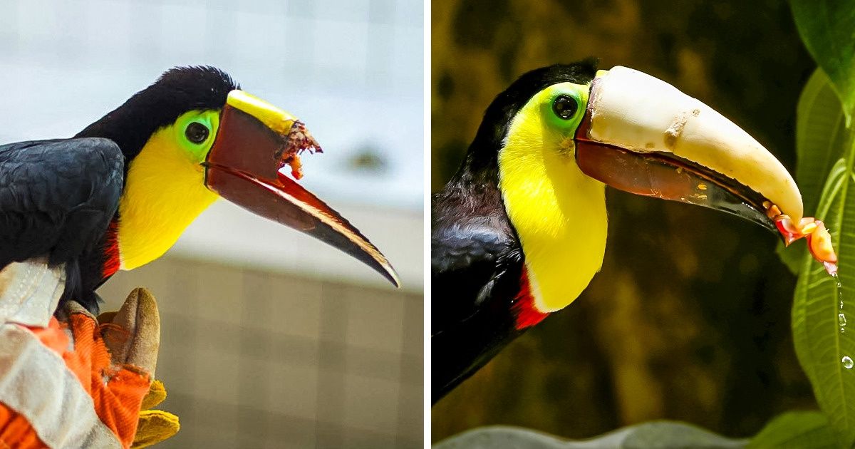 Se os ETs soubessem destas histórias, já teriam feito contato conosco