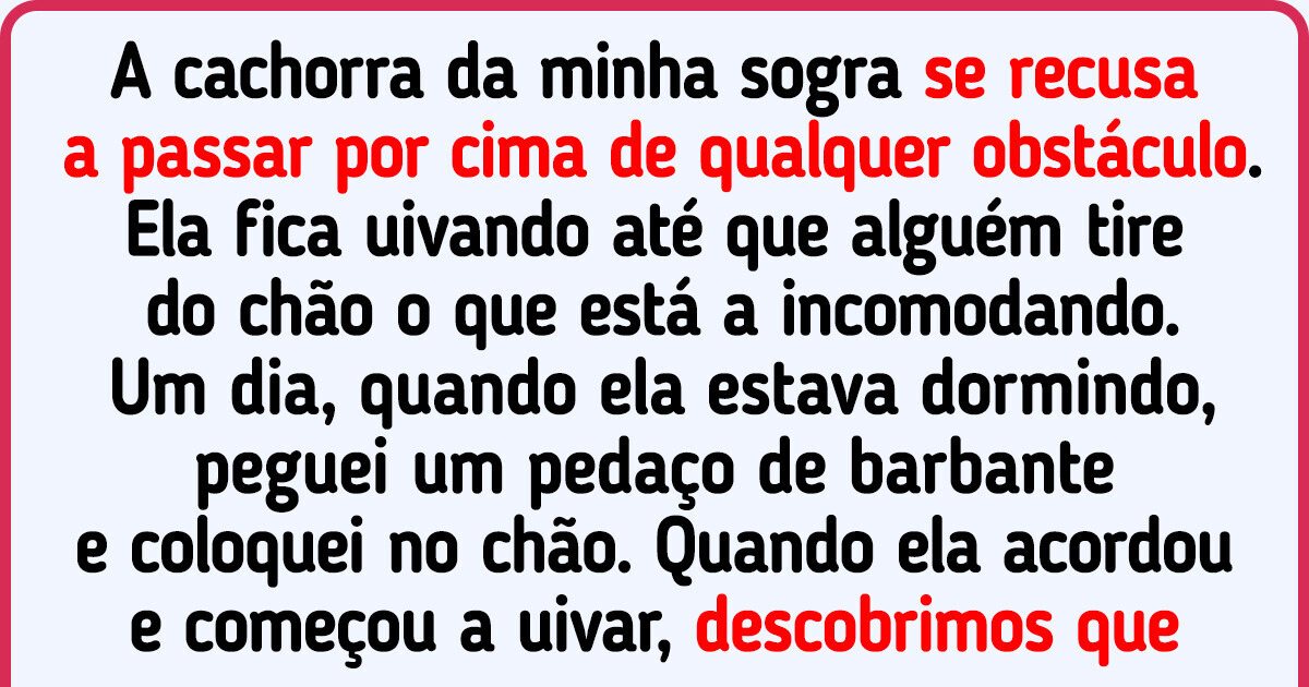 15 Pessoas ficaram chocadas ao descobrir que seus pets podem ser mais estranhos que os humanos 15 Pessoas ficaram chocadas ao descobrir que seus pets podem ser mais estranhos que os humanos