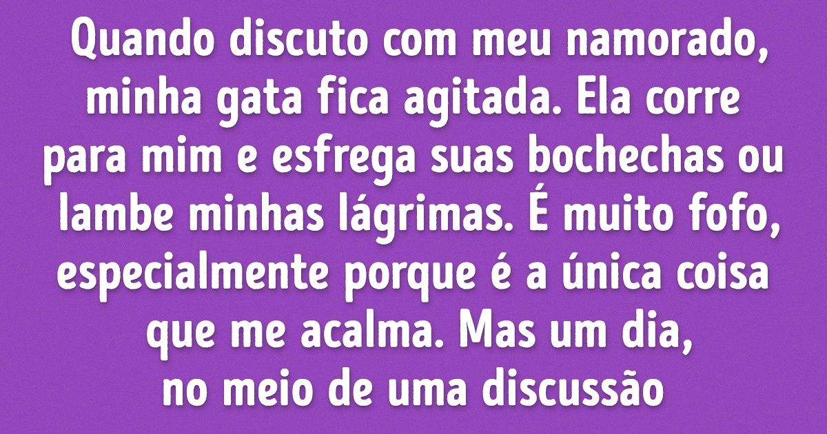 15 Relatos que provam que os animais são muito mais inteligentes do que pensamos 15 Relatos que provam que os animais são muito mais inteligentes do que pensamos