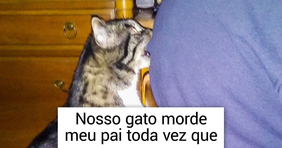 20+ Animais de estimação que cansaram de ser bons garotos 20+ Animais de estimação que cansaram de ser bons garotos