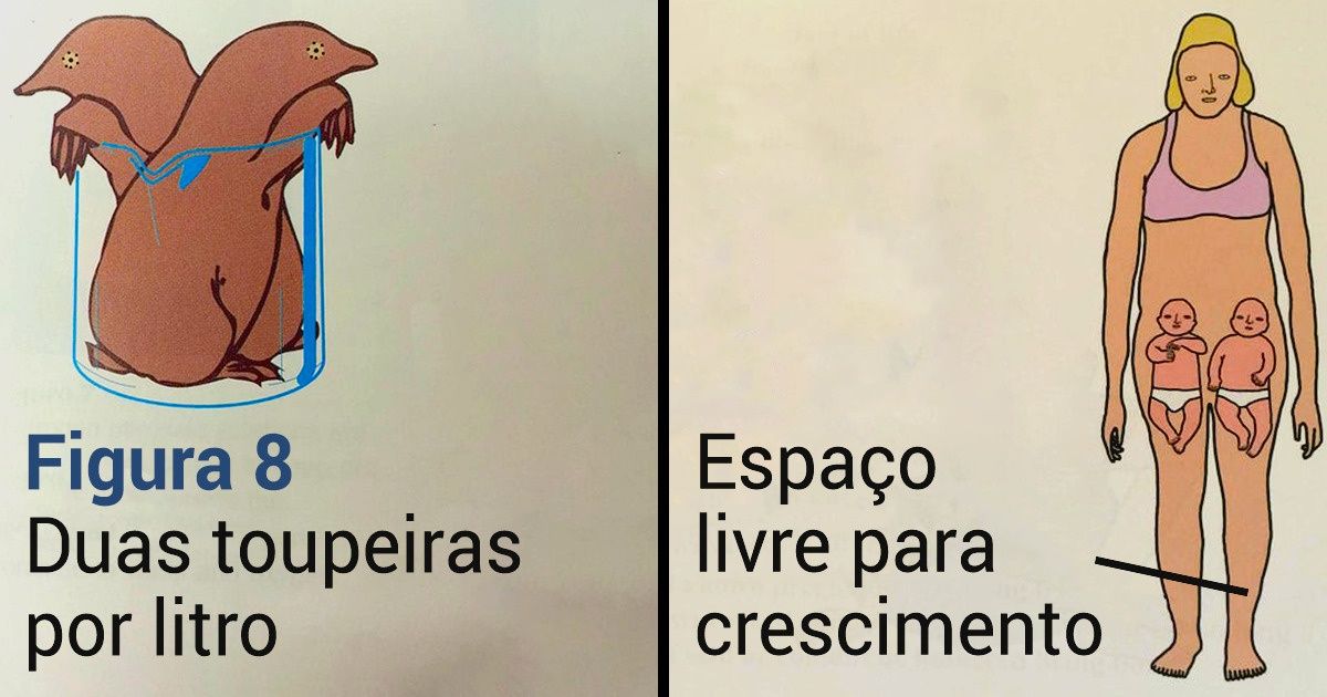 15 Ilustrações de livros didáticos tão ridículas que não dá para segurar o riso