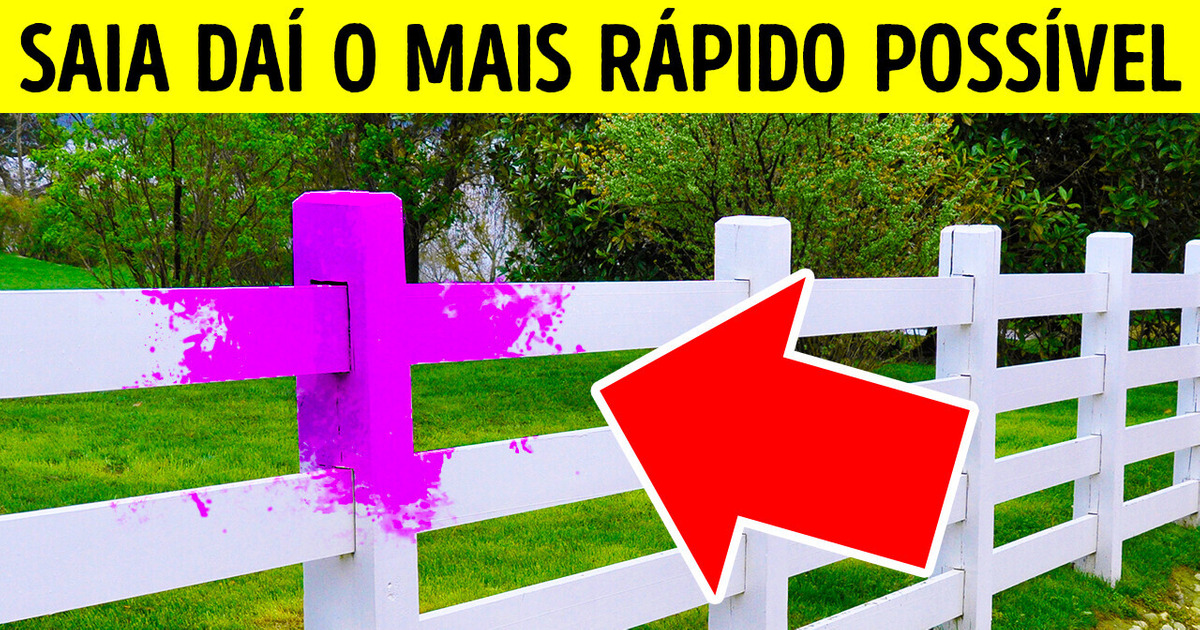 Se vir uma mancha roxa em cercas ou postes, saia dali