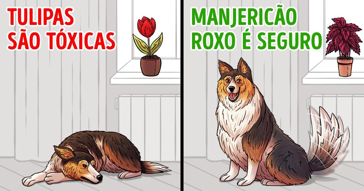 15 Plantas para evitar ter em casa se você tem animais de estimação