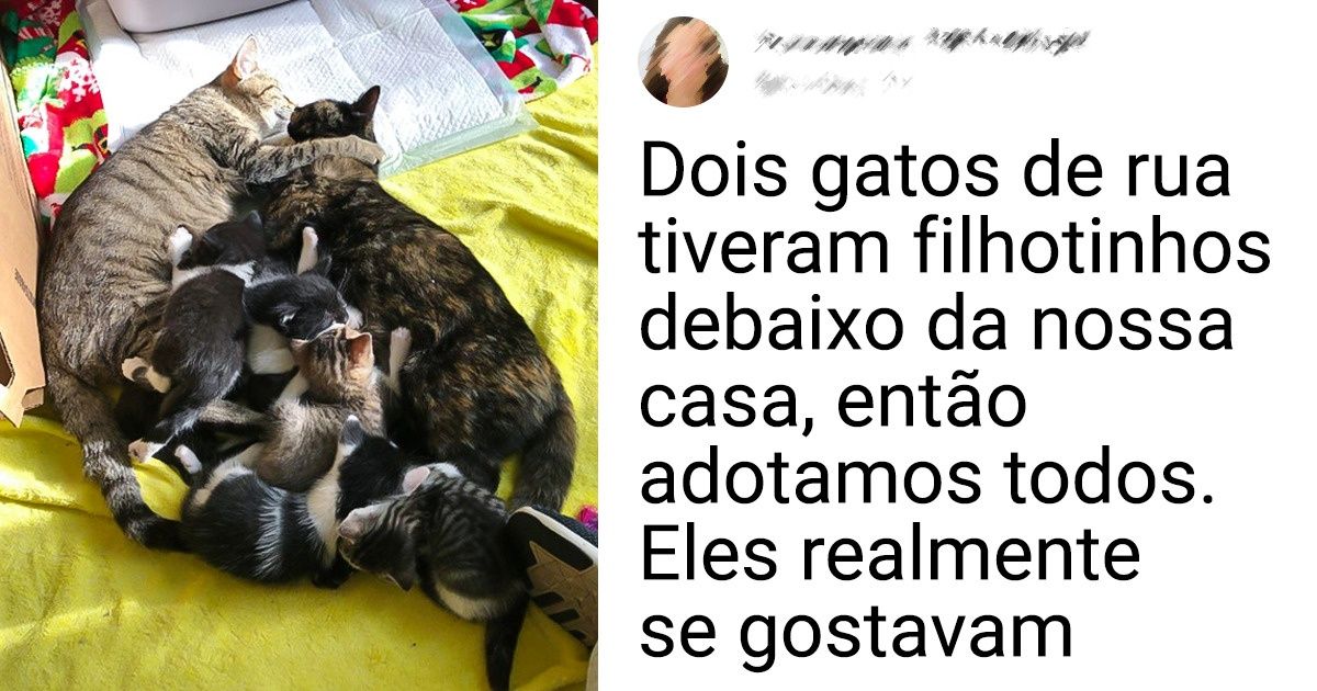 20 Lindas fotos de famílias formadas apenas por animais