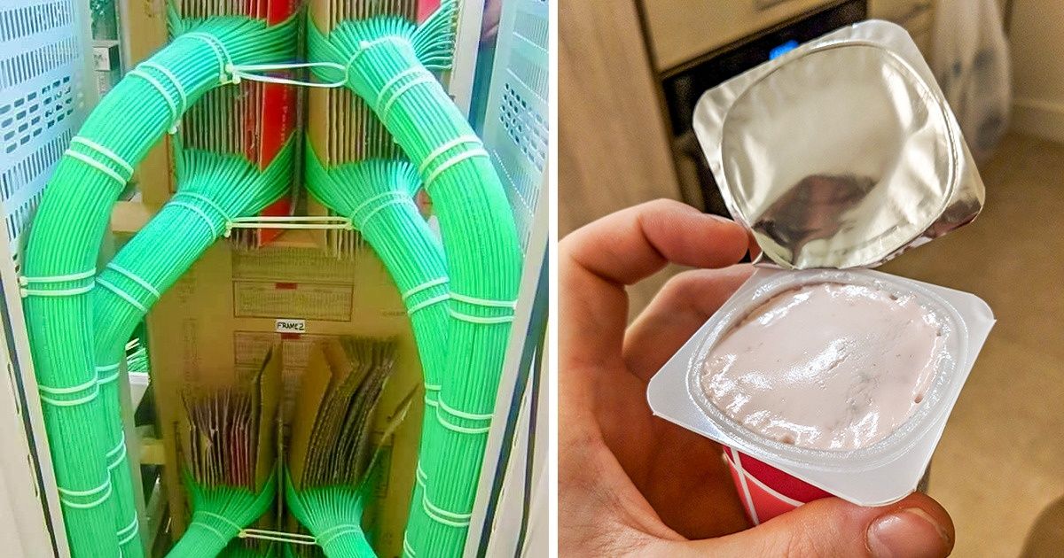 30 Fotos que deixarão os perfeccionistas satisfeitos