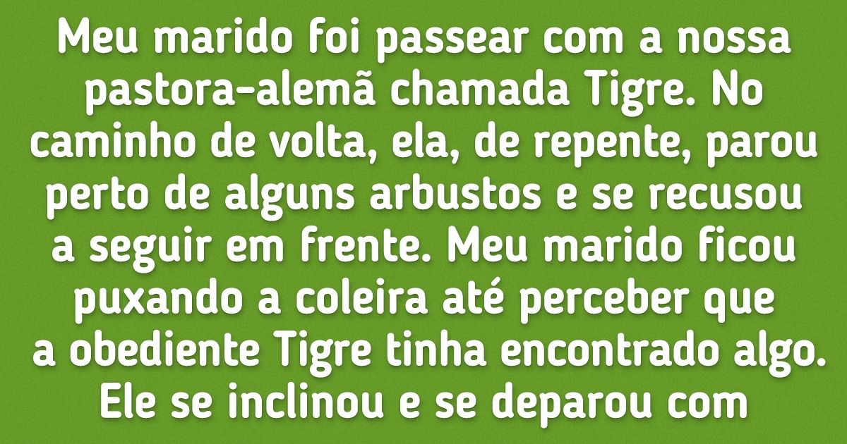 15 Erros na criação dos cães que podem custar caro aos seus donos