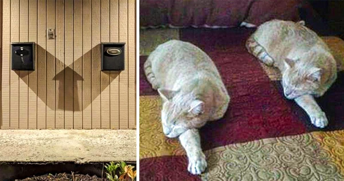 20+ Coincidências que nos fazem pensar em uma realidade paralela