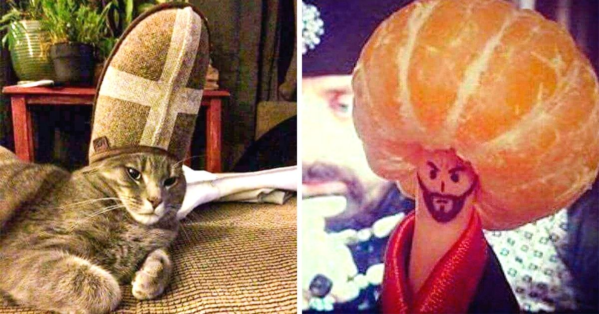20 Pessoas que poderiam dar aula sobre como fazer bobagens