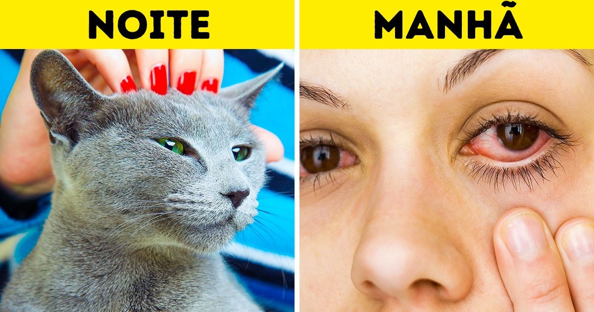 8 Coisas que você pode fazer para garantir uma boa noite de sono 8 Coisas que você pode fazer para garantir uma boa noite de sono