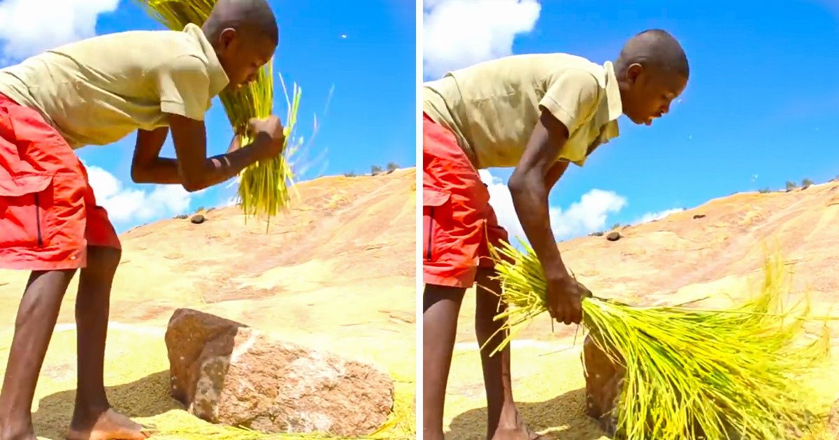 14 Fatos mostram que Madagascar é um universo à parte (lá, até os ratos saltam a um metro de altura)