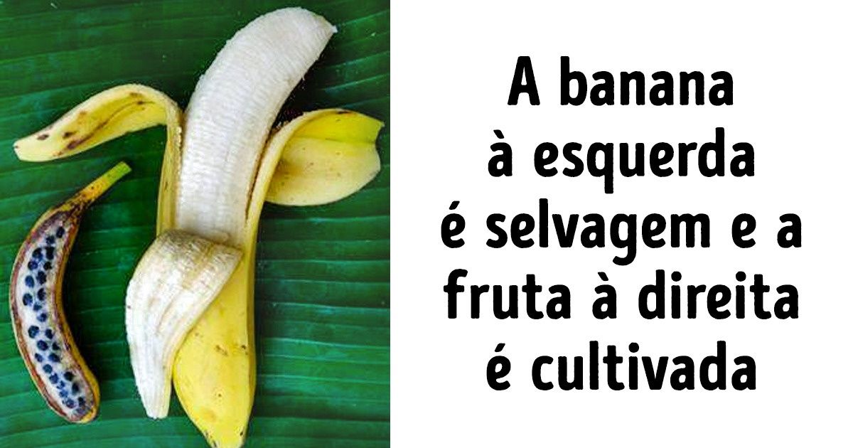 20+ Curiosidades sobre o mundo que muitos provavelmente desconhecem