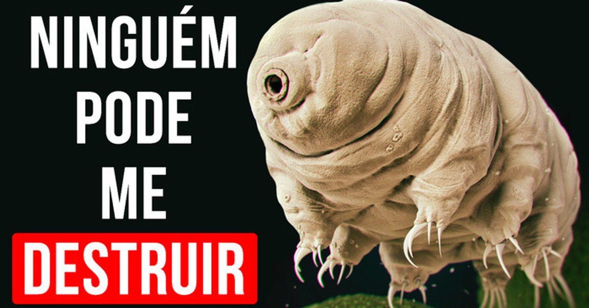 Mesmo os Vulcões e o Espaço Não Conseguem Parar Esta Criatura