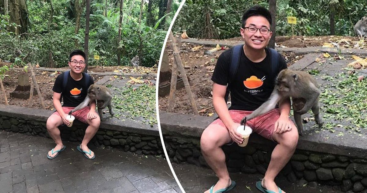 15+ Pessoas que, definitivamente, fizeram o clique no momento certo