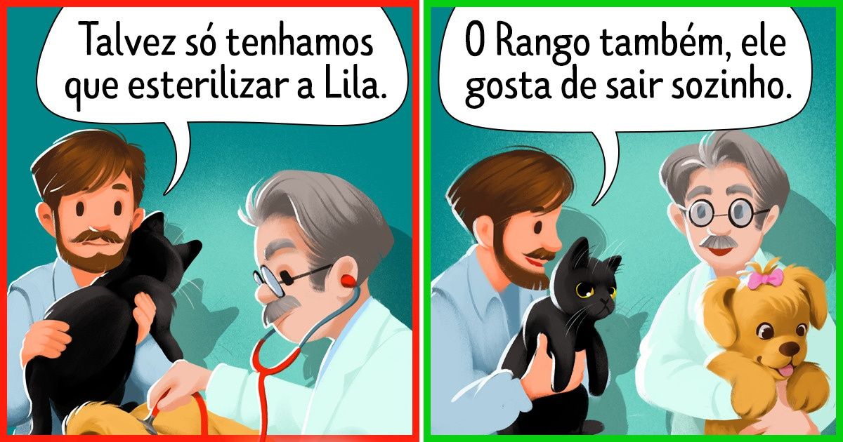 9 Mitos sobre a esterilização e a castração de cachorros e gatos que devem ser esclarecidos 9 Mitos sobre a esterilização e a castração de cachorros e gatos que devem ser esclarecidos