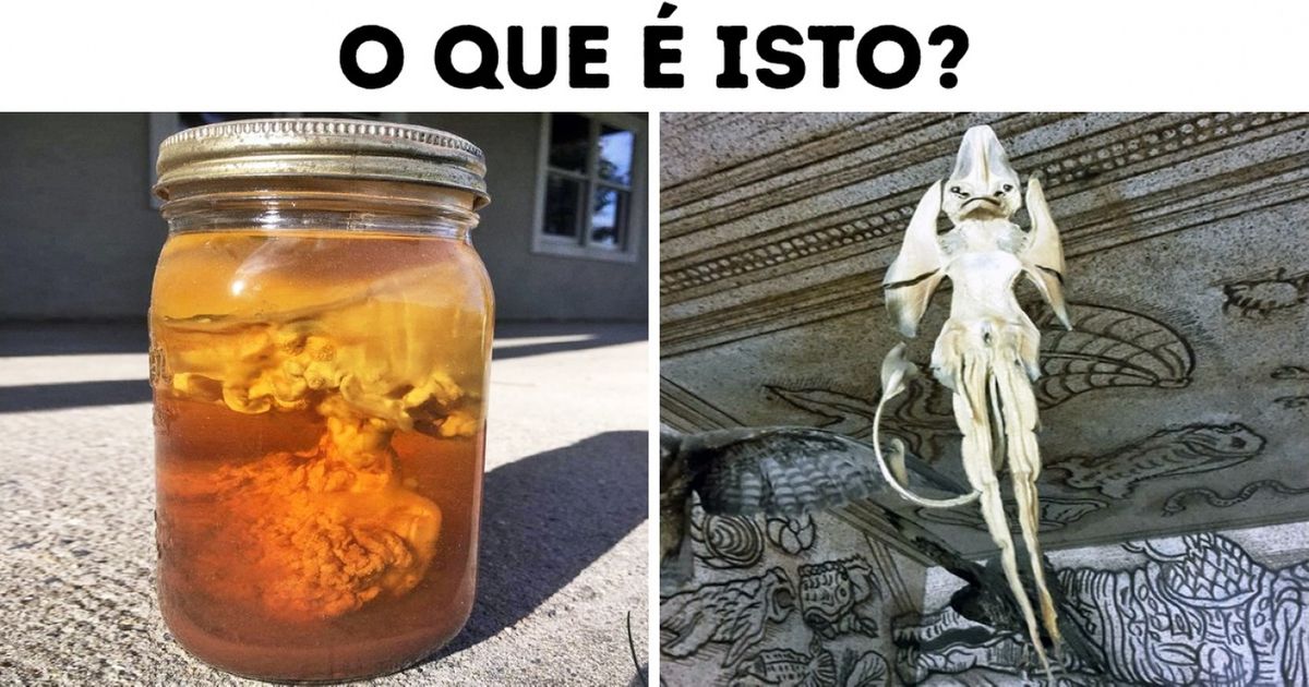 Quando apenas a Internet consegue explicar o que são algumas coisas