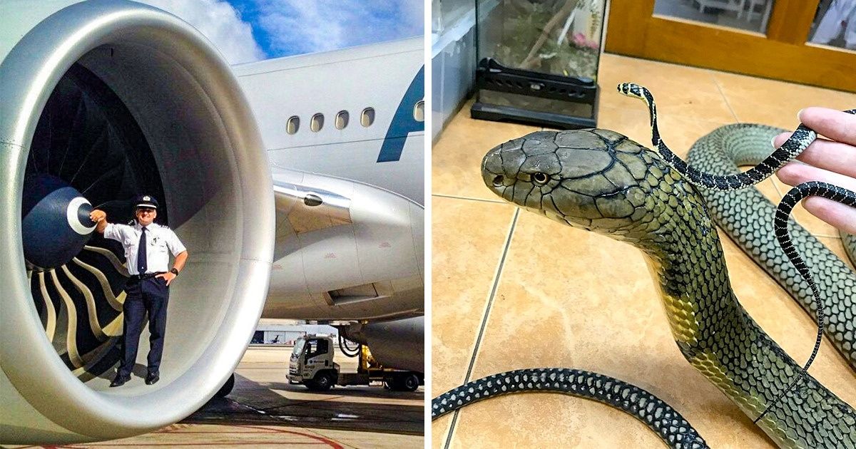 14 Provas de que o nosso mundo não para de nos surpreender
