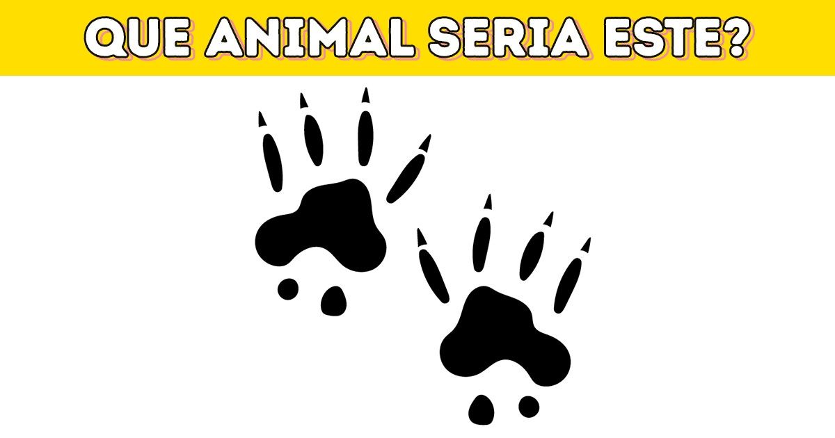 Teste: Descubra qual é o animal apenas pelas pegadas Teste: Descubra qual é o animal apenas pelas pegadas