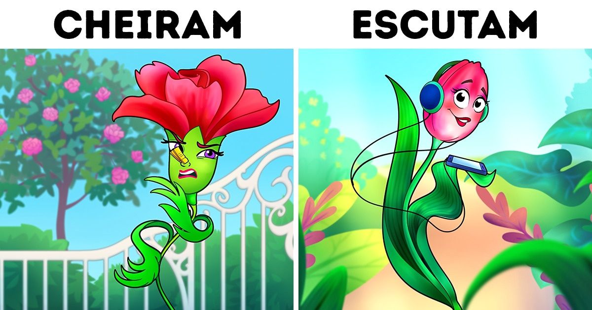 As plantas têm sentidos perceptivos e podem ser mais sensíveis do que acreditamos