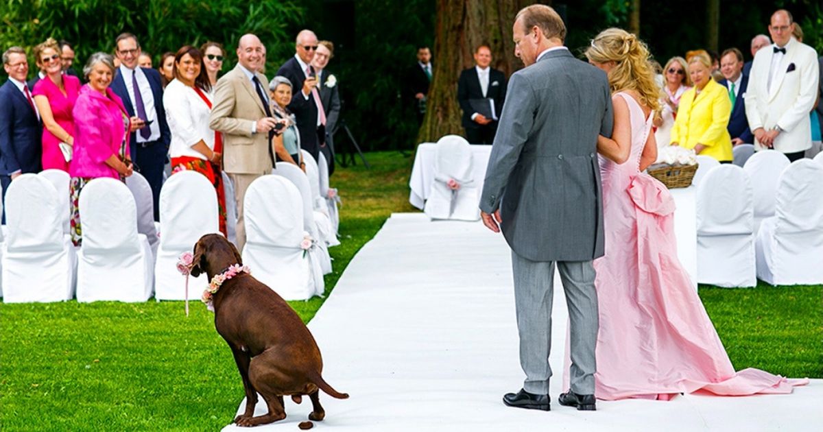 30 fotos de 2017 que mostram como o casamento é algo para ser lembrado para sempre 30 fotos de 2017 que mostram como o casamento é algo para ser lembrado para sempre