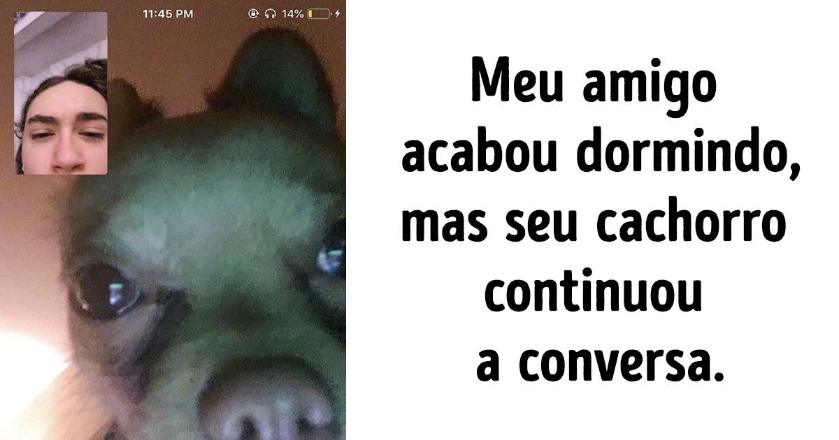 22 Cachorros que a cada dia se parecem mais com os humanos 22 Cachorros que a cada dia se parecem mais com os humanos