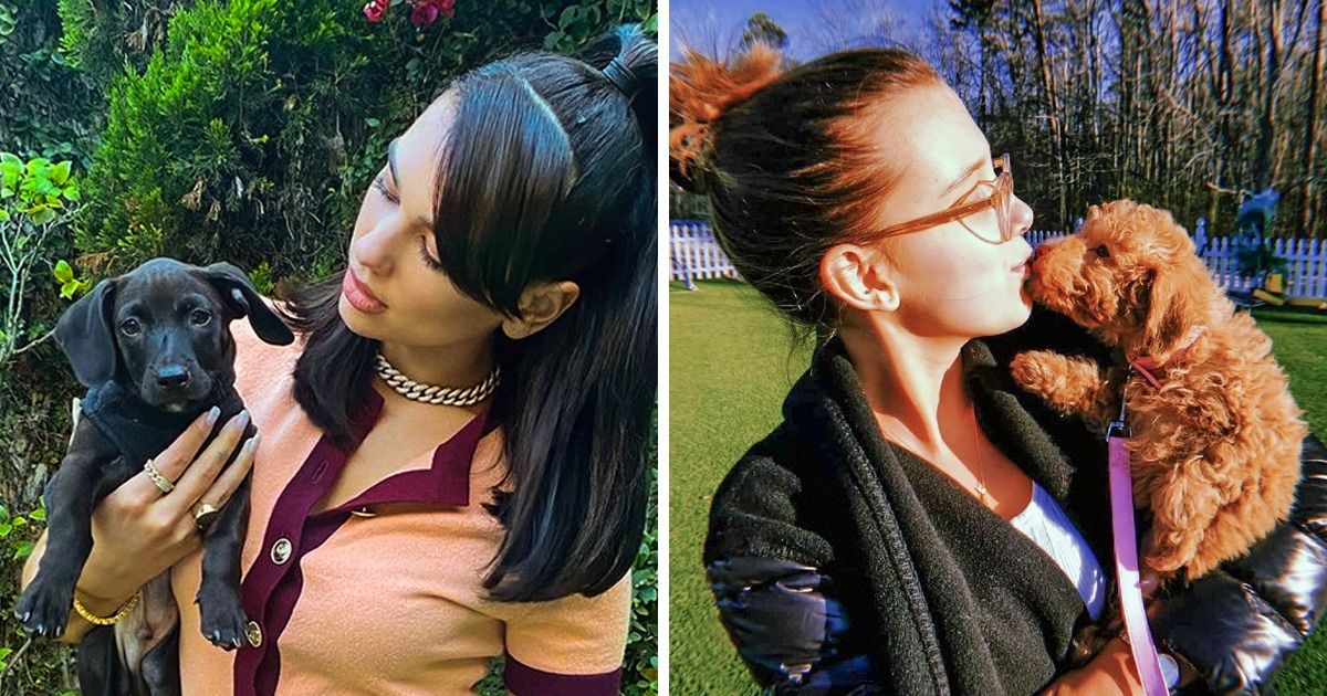15+ Famosos que preferiram resgatar cães em vez de comprá-los (e deram a eles uma vida de reis) 15+ Famosos que preferiram resgatar cães em vez de comprá-los (e deram a eles uma vida de reis)
