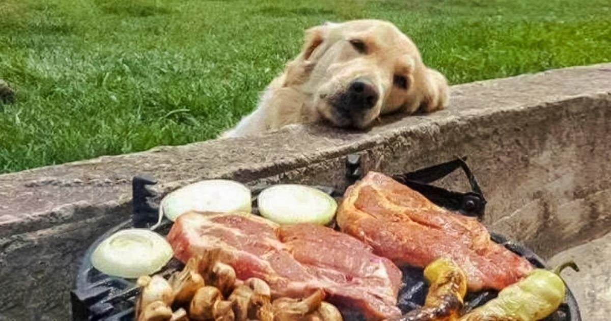 Um olhar vale mais do que mil palavras