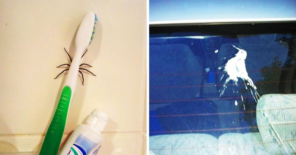 23 Fotos que mostram como um dia pode começar mal