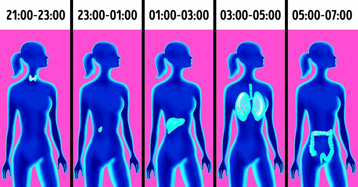Por que você está acordando na mesma hora todas as noites? A medicina chinesa explica