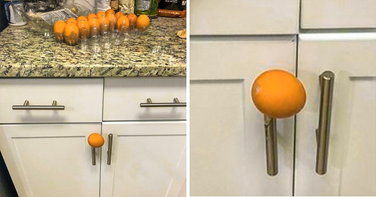 26 Imagens divertidas que você vai querer olhar de vez em quando