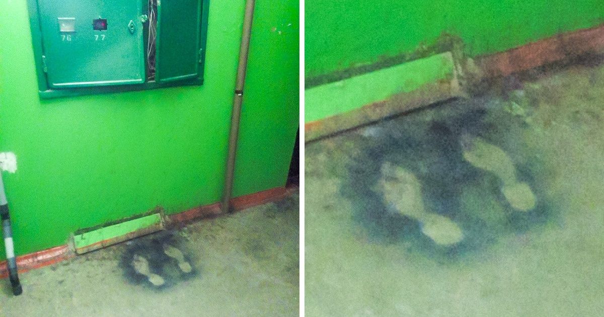 15 Fotos difíceis de serem explicadas coerentemente