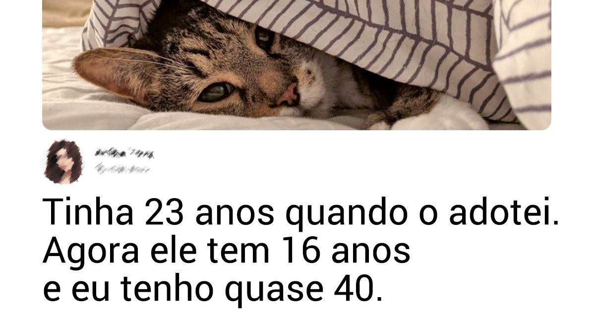 20+ Fotos que comprovam que o amor entre os donos e os animais de estimação vai além da idade 20+ Fotos que comprovam que o amor entre os donos e os animais de estimação vai além da idade