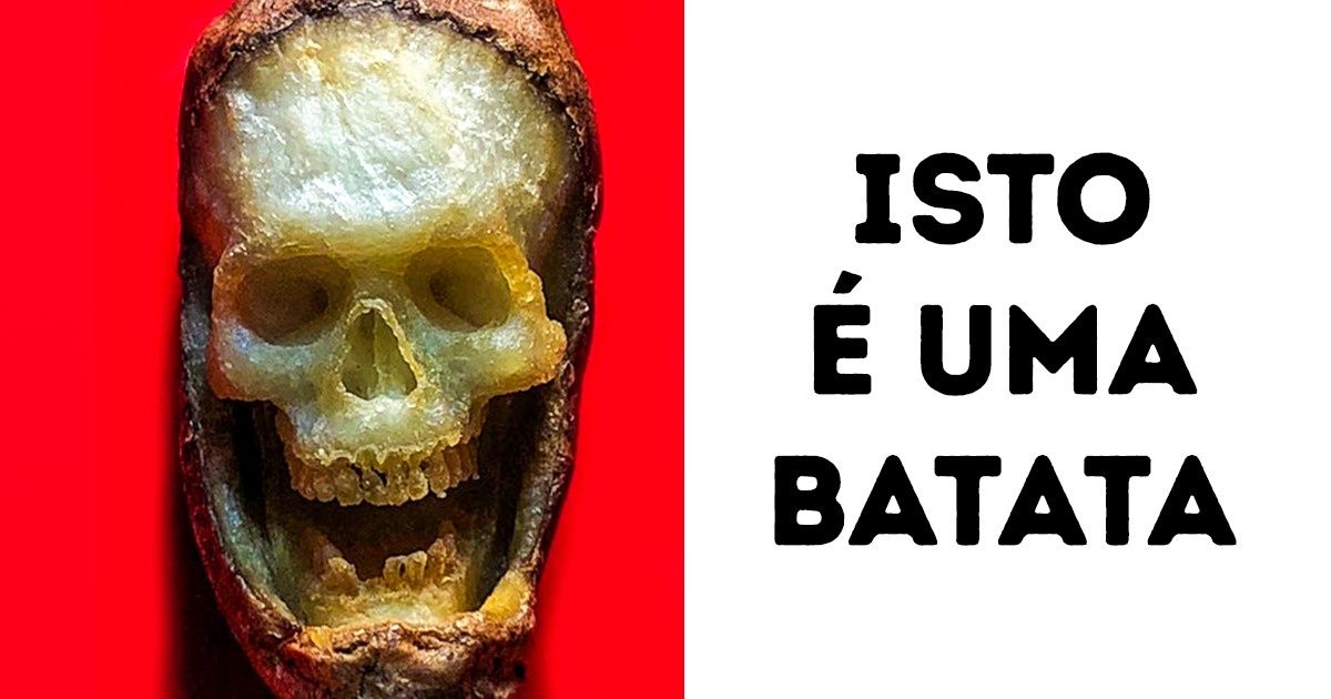 15 Provas de que o mundo sempre pode nos surpreender