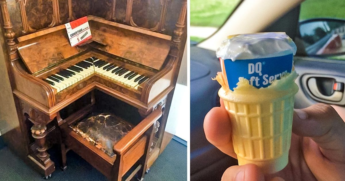 20 Imagens que vão melhorar seu humor 20 Imagens que vão melhorar seu humor