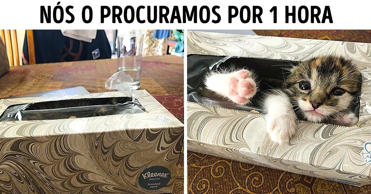 25 Fotografias que vão comover até pessoas de coração de pedra