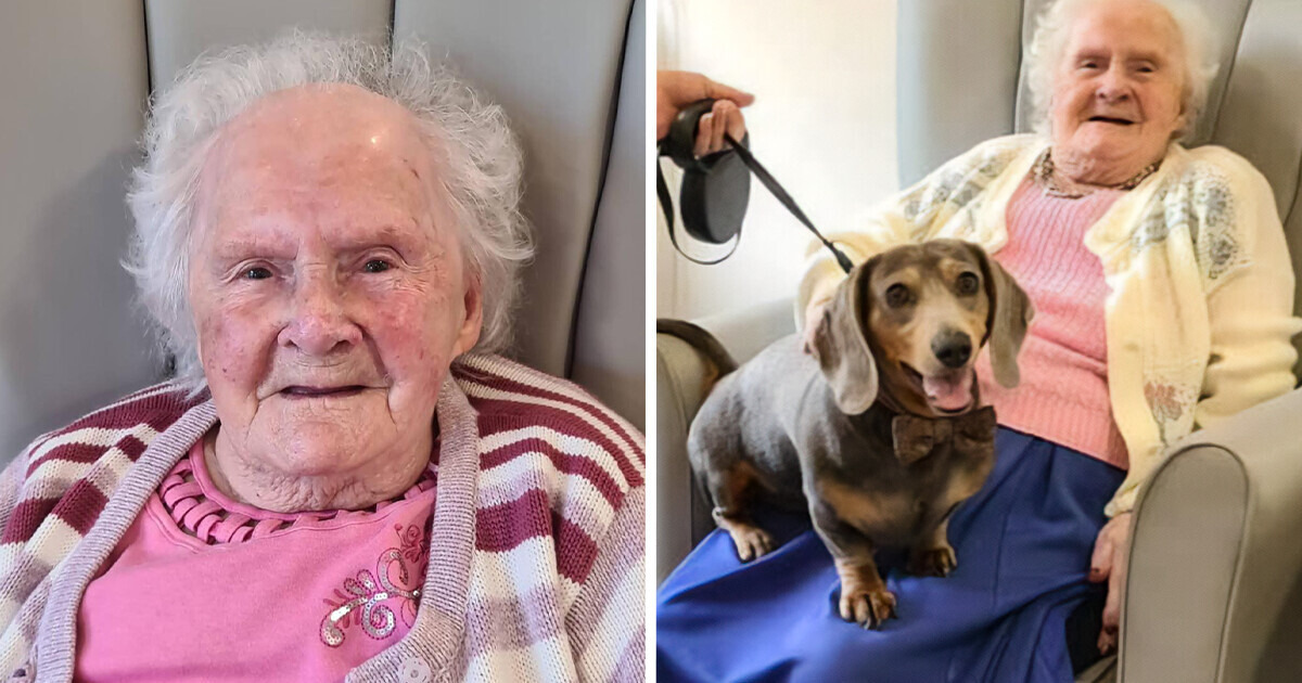 Mulher de 108 anos diz que segredo da longevidade foi ter cães, não filhos