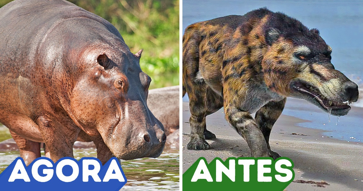 11 Animais contemporâneos que não lembram em nada seus próprios ancestrais