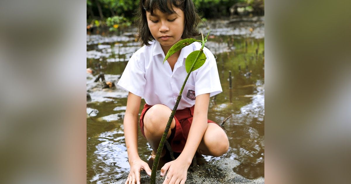 Nova lei obriga alunos das Filipinas a plantar pelo menos 10 árvores para poderem se formar Nova lei obriga alunos das Filipinas a plantar pelo menos 10 árvores para poderem se formar