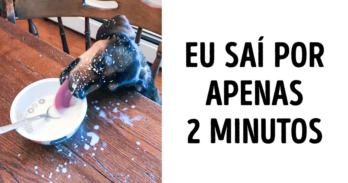 20+ Animais de estimação que foram pegos com as patas na massa