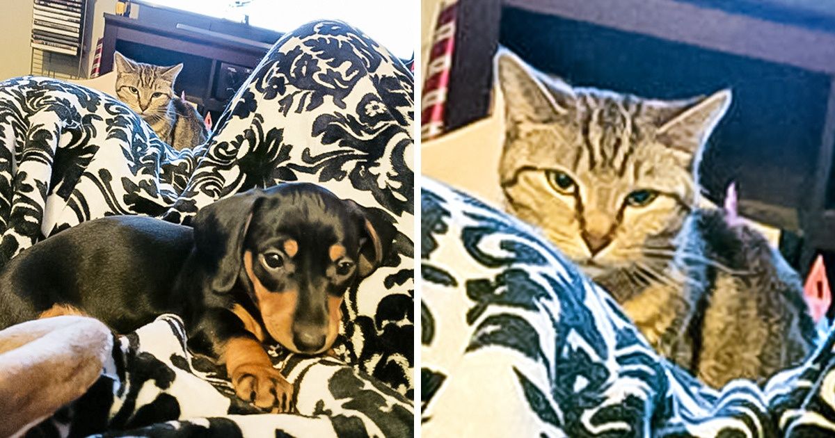 18 Fotos que mostram a verdadeira face da inveja
