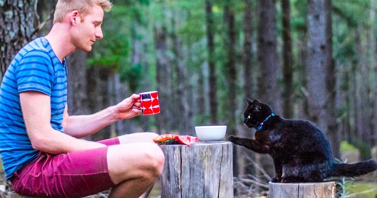 Jovem australiano larga tudo para viajar de van com seu gato