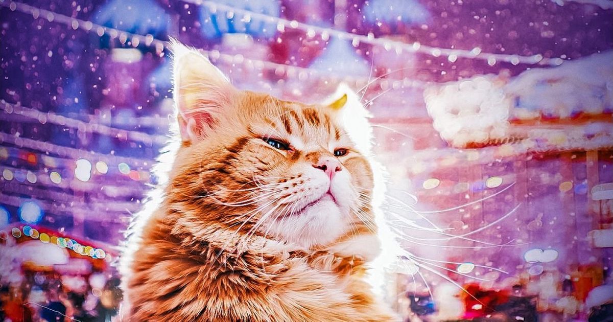 27 Fotos incríveis que mostram que o violeta é a cor de 2018 27 Fotos incríveis que mostram que o violeta é a cor de 2018