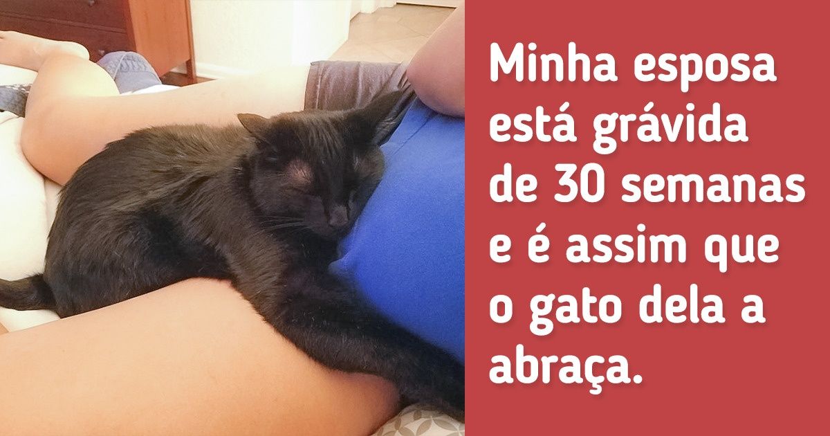 20 Fotos que comprovam que os animais são anjos que caíram do céu 20 Fotos que comprovam que os animais são anjos que caíram do céu