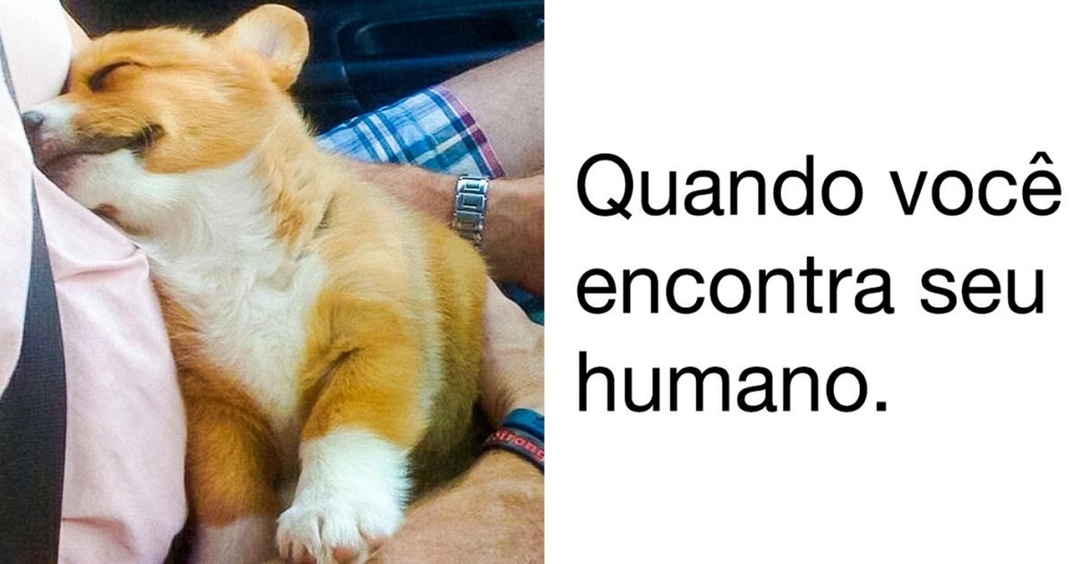 12 Histórias fofas que mostram que os sonhos podem se tornar realidade 12 Histórias fofas que mostram que os sonhos podem se tornar realidade
