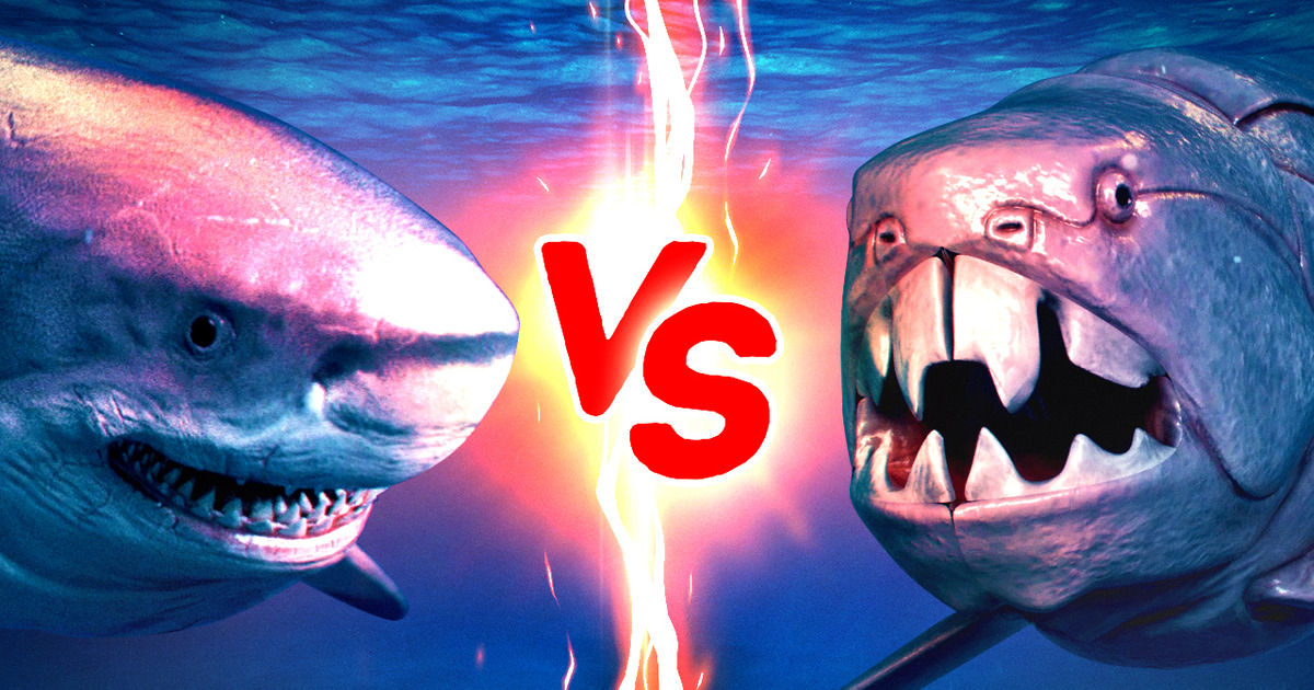 E se o Megalodonte enfrentasse os 2 melhores caçadores de todos os tempos