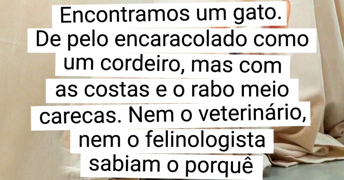 15+ Animais mestiços cujos pais mostraram que os opostos realmente podem se atrair 15+ Animais mestiços cujos pais mostraram que os opostos realmente podem se atrair